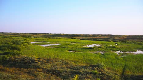 View-Across-Grassy-Wetland-At-Texel.-Pan-Right