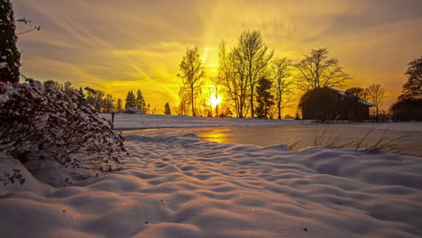 Time-lapse-shot-of-golden-sunset-behind-leafless-trees-and-snowy-winter-field-with-blue-hour-changing-sky-to-purple-color