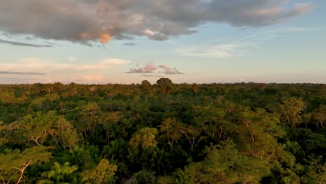 Luftdrohnenflugansicht-Des-Malerischen-Sonnenaufgangs-Im-Tropischen-Dschungelregenwald-Des-Amazonas-Mit-Lebhaften-Nebelstrahlen-Am-Morgen-In-Der-Nähe-Eines-Flusssees