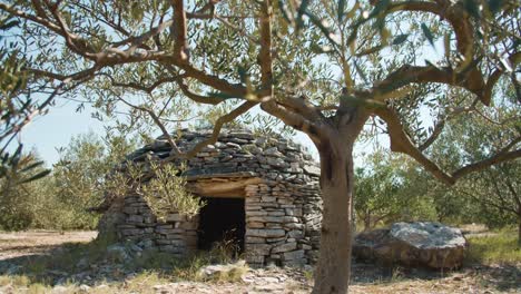 Eine-Schöne-Aufnahme-Von-Olivenbäumen-Und-Einem-Alten-Steinhaus