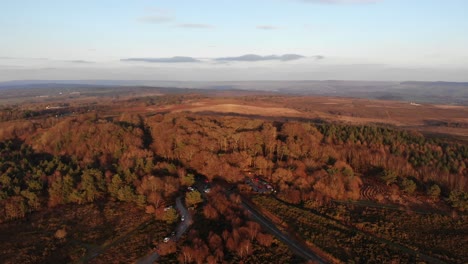 Aerial-Over-Autumnal-Woodbury-Common-Heathland-Bathed-In-Afternoon-Sun