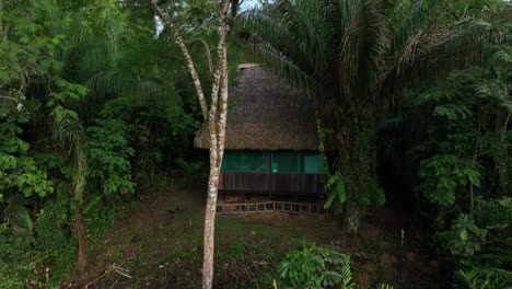 Luftdrohnenflugansicht-Der-Dschungelhütte-Im-Amazonas,-Umgeben-Von-Bäumen,-Flüssen,-Tropischem-Klima,-Wilden-Tieren,-Regen-Im-Wald