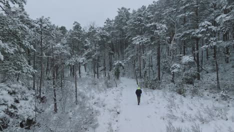 Dronefootage-of-man-walking-in-winter-forest-in-Norway