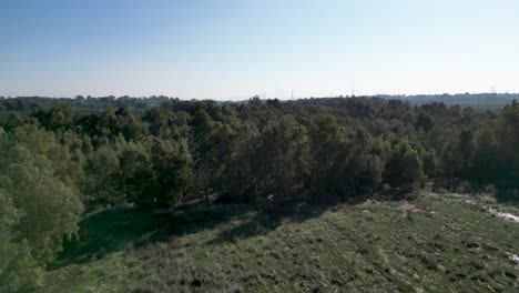 4K-drone-videos-of-Rehovot-Winter-Pond--The-Secluded-Life-of-the-Rainy-Season--before-the-flood--Rehovot-Israel