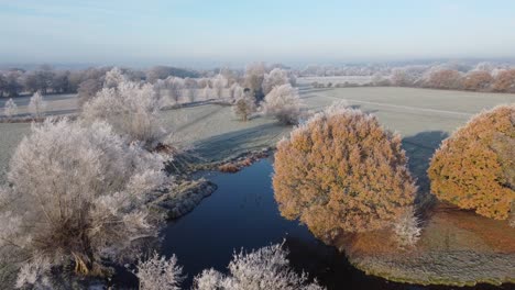 Luftaufnahmen,-Die-Sich-An-Einem-Frühen-Wintermorgen-über-Den-Fluss-Stour-Und-Mit-Raureif-Bedeckte-Bäume-Vorwärts-Bewegen