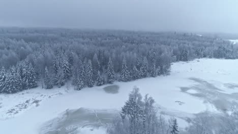 Aerial-drone-forward-moving-shot-over-frozen-lake-surrounded-by-coniferous-forest-covered-with-white-snow-on-cloudy-day