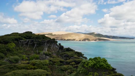 Panoramaaufnahme-Von-Wachsenden-Kauri-Bäumen-Und-Wunderschönem-Blick-Auf-Das-Blaue-Meer-In-Neuseeland---Sandige-Dünenhügel-Im-Hintergrund