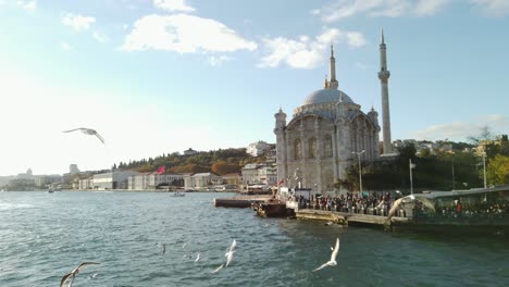 Beautiful-Scenery-of-Birds-in-Front-of-Ortaköy-Mosque-in-Istanbul