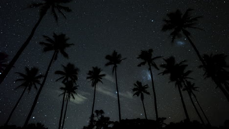 Nachtzeitraffer-Von-Millionen-Von-Sternen-Und-Magellanschen-Wolken-Hinter-Der-Silhouette-Von-Hohen-Kokospalmen