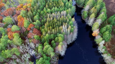 Aerial-drone-video-footage-of-a-colorful-autumn-forest,-pond,-and-pine-trees-in-the-Appalachian-mountains
