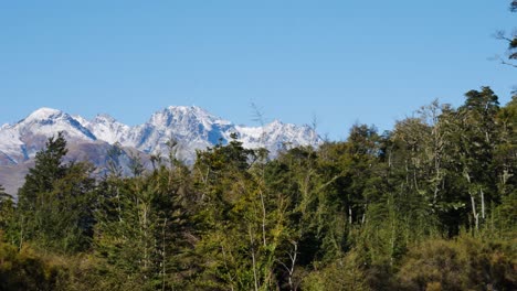 Panoramaaufnahme-Von-Grünen-Wäldern-Und-Schneebedeckten-Felsigen-Bergen-Im-Hintergrund---Blauer-Himmel-Und-Sonnenlicht-Am-Herbsttag---Gletscherbrandspur,-Nz