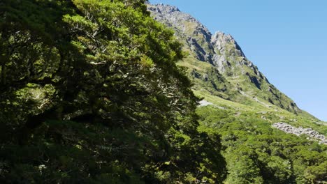 Toma-Panorámica-De-La-Enorme-Cordillera-Cubierta-De-Plantas-Verdes-Contra-El-Cielo-Azul-Durante-El-Día-De-Verano---Parque-Nacional-Fiordland-En-Nueva-Zelanda
