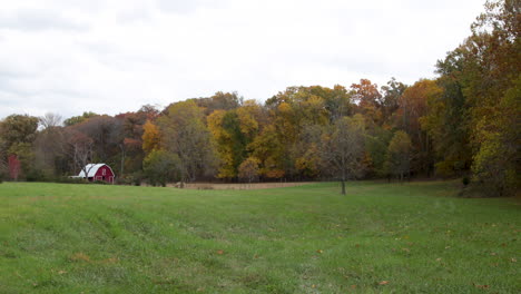 Fall-color-trees-on-the-edge-of-a-field-barn-in-the-distance