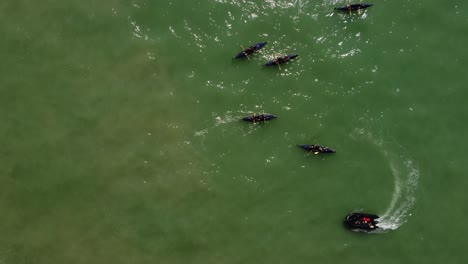 Aerial-top-down-shot-of-black-boats-of-professional-rowing-team-practicing-on-natural-ocean-during-summer