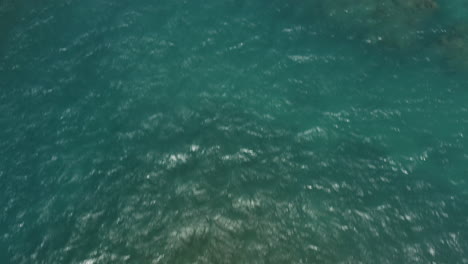 AERIAL---Coral-waters,-Playa-Teco-Maimon,-Dominican-Republic,-top-down-tilt-up-reveal