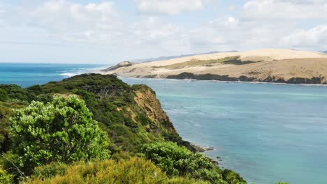 Beautiful-green-plants-and-sand-dunes-on-Kauri-Coast-and-tropical-water-of-Pacific-Ocean