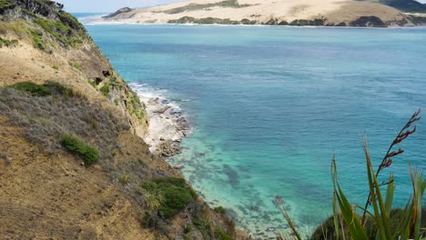 Schöne-Bunte-Kauri-küste-Und-Wasser-Des-Pazifischen-Ozeans-An-Einem-Sonnigen-Tag-In-Neuseeland---Langsamer-Schwenkschuss