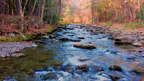 Low-aerial-drone-slow-motion-video-footage-of-a-mountain-forest-stream-during-fall-with-beautiful-golden-sunset-sunlight