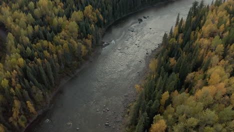 Bowron-Fluss,-Der-Durch-Gelben-Und-Grünen-Wald-In-Britisch-Kolumbien-Fließt,-Antenne
