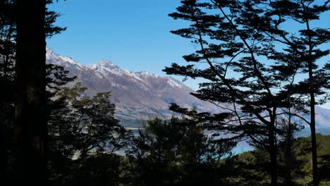 Silhouette-Von-Waldbäumen-Und-Pflanzen-Auf-Der-Gletscherbrandspur-Und-Der-Wunderschönen-Schneebedeckten-Bergkette-Im-Hintergrund---Wunderbarer-Sonniger-Tag-Und-Blauer-Himmel-In-Neuseeland