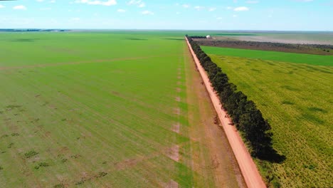 Large-scale-soy-plantations-in-Brazil-between-a-road