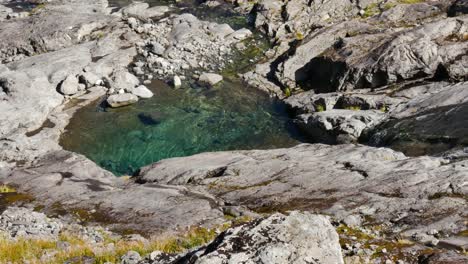 Beautiful-stream-flowing-into-crystal-clear-mountain-pool-during-sunny-day---Slow-motion-pan-shot---Gertrude-Saddle,New-Zealand