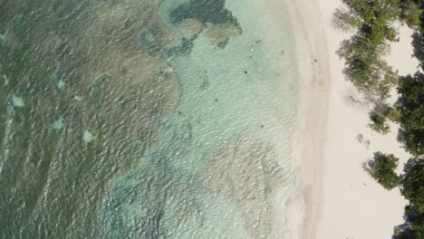 AERIAL---White-sand-beach,-Playa-Teco-Maimon,-Dominican-Republic,-top-down-truck-left