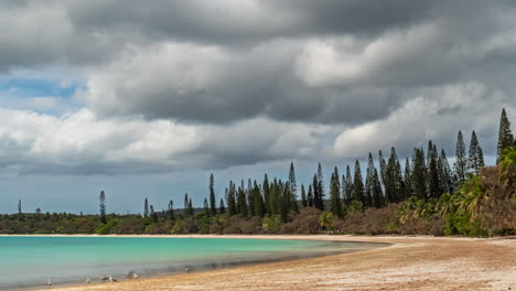 Kuto-Beach-on-the-Isle-of-Pines-with-iconic-columnar-pines-in-the-background-and-a-cloudscape-overhead---time-lapse