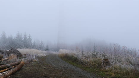 Nebel-Mitten-Im-Wald-Mit-Blick-Auf-Den-Waldweg-Und-Feinem-Schnee-Im-Hintergrund