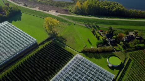 Aerial-drone-view-of-flying-over-the-greenhouses-and-revealing-the-beautiful-watery-landscape-in-the-Netherlands,-Europe