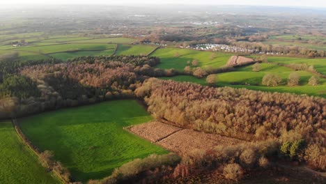 Aerial-Over-Idyllic-Woodbury-Common-In-East-Devon