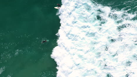 4K-Drohne-Draufsicht-Eines-Professionellen-Surfers,-Der-Mit-Seinem-Surfbrett-In-Australien-Unter-Einer-Großen-Meereswelle-Taucht