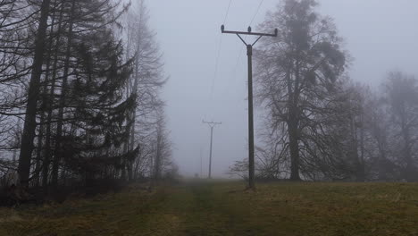 Ein-Waldweg-Im-Nebel,-Durch-Den-Strommasten-Führen