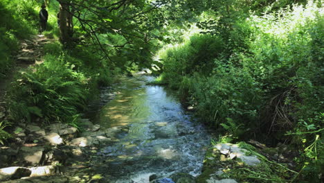 Schöner-Bach,-Der-An-Einem-Sommertag-In-Der-Landschaft-Großbritanniens-Fließt