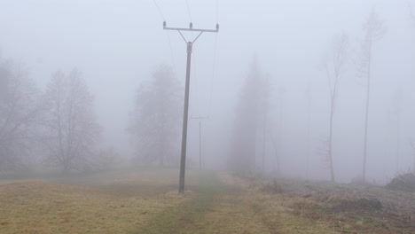 Ein-Waldweg-Im-Nebel,-Durch-Den-Strommasten-Führen