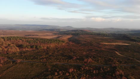 Aerial-Over-Woodbury-Common-Heathland-Bathed-In-Afternoon-Sun