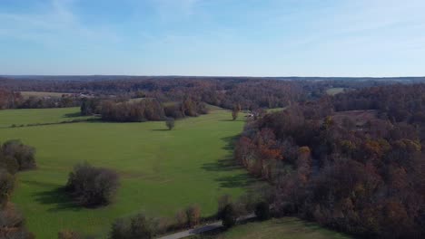 Treetops-and-Agricultural-Fields---Picturesque-Nature-in-Early-Autumn---aerial-drone-shot