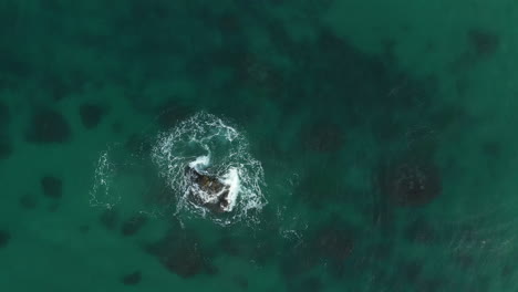 4K-Drohne-Draufsicht-Auf-Wellenbruch-Auf-Einem-Einsamen-Felsen-In-Einem-Blauen-Ozeanmeer