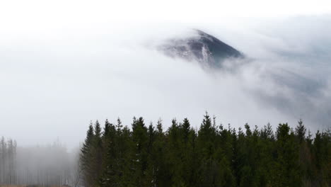 Niebla-Que-Avanza-Sobre-El-Bosque-Y-Las-Colinas-Circundantes-Durante-Una-Tarde-Soleada