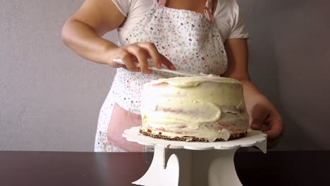 Latin-woman-wearing-an-apron-preparing-cooking-baking-a-cake-adding-spreading-the-butter-frosting-using-a-white-spatula