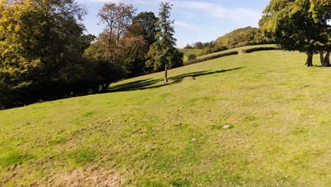 Umgekehrte-Luftaufnahme-Der-Parklandschaft-In-Devon-England-An-Einem-Schönen-Sonnigen-Tag