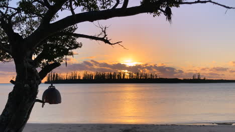 Relaxing-sunset-view-from-Isle-of-Pines-beach,-small-island-of-columnar-pine-trees-in-silhouette