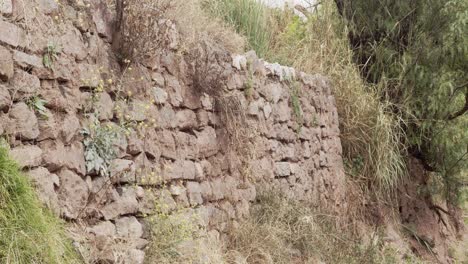 Inca-wall-anden-in-farm---cusco