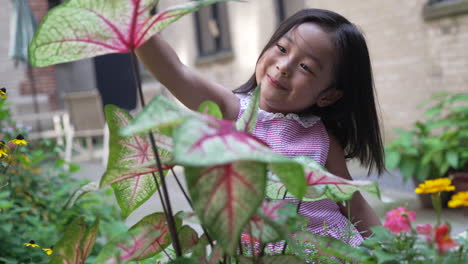Asiatische-Mädchen-Spielen-Mit-Blumen-Und-Pflanzen-Im-Garten,-Nahaufnahme-Porträtaufnahme