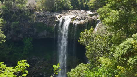 Wide-shot-of-massive-Kerikeri-Waterfall-crashing-down-during-sunny-day-in-jungle
