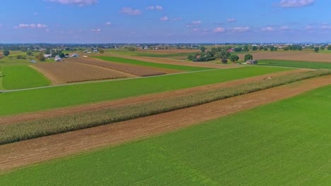 Eine-Luftaufnahme-Des-Ländlichen-Amerikas-Von-Amish-ackerland-Mit-Amish,-Die-An-Einem-Sonnigen-Sommertag-Die-Ernte-Ernten