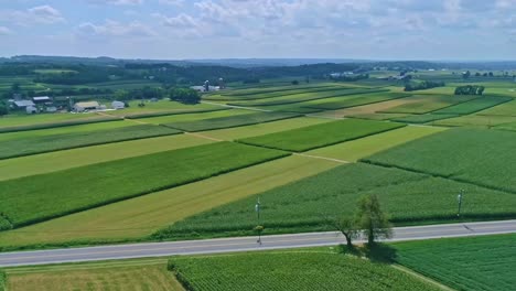 An-Aerial-Traveling-View-of-Corn-Fields-and-Harvesting-Crops,-with-Patches-of-Color-on-a-Beautiful-Summer-Day