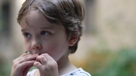 Close-up-face-and-head-portrait-of-a-blonde-kid-eating-a-snack-outdoors