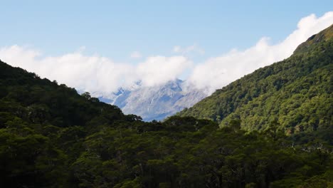 Panorama-shot-of-dense-lush-mountains-and-hovering-clouds-in-background-during-sunlight---Fiordland-National-park,nz