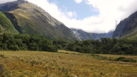 Panorama-shot-of-untouched-wilderness-of-New-Zealand-with-giant-overgrown-mountains-and-forest-trees